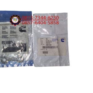 GASKET CONNECTION, PN. 3001562 CUMMINS
