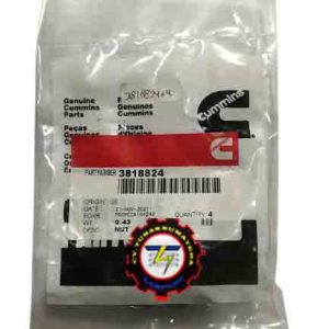 HEXAGON FLANGE NUT, PN. 3818824
