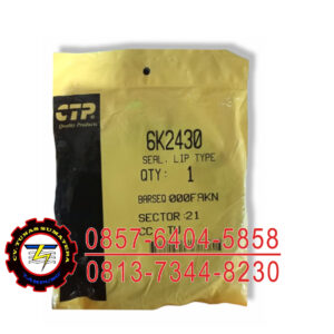 SEAL LIP 6K 2430 CTP