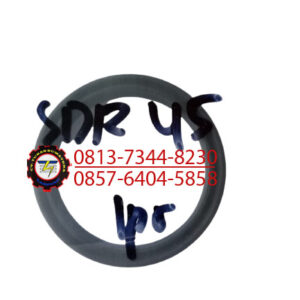 SEAL DUST SDR 45