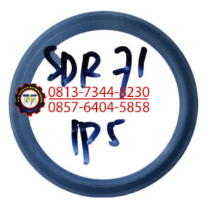 SEAL DUST SDR 71