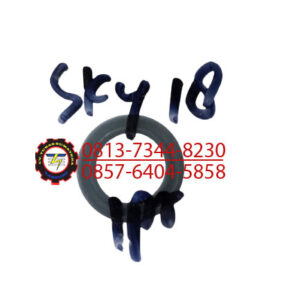 SEAL PAKING SKY 18