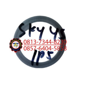 SEAL PAKING SKY 45
