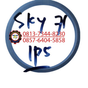SEAL PAKING SKY 71