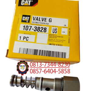 VALVE G 1073828