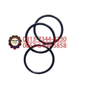 ORING OUTER DUST RING 11x120