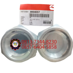 LOCK NUT, PN. 3004057 CUMMINS