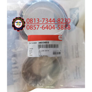 OIL SEAL KIT, PN. 3803852 CUMMINS
