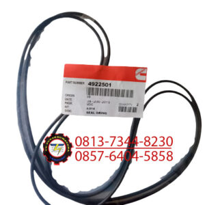 SEAL O'RING, PN. 4922501 CUMMINS