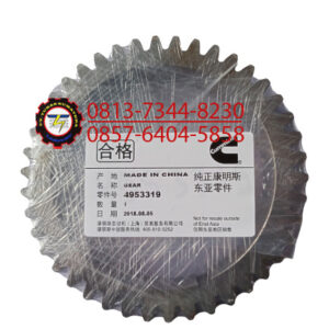 GEAR 4953319
