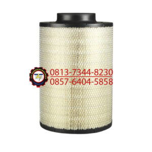 AIR FILTER B10-5036 DONALDSON