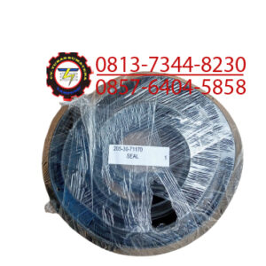 SEAL PN.205-30-71171