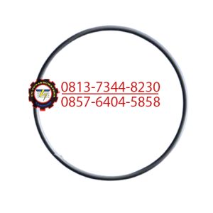 ORING 10B0002