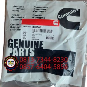 SLEEVE 3906081