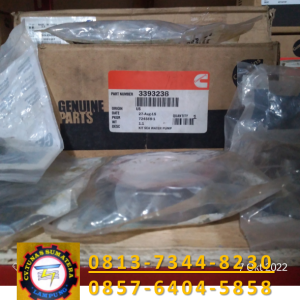 KIT SEA WATERPUMP, PN. 3393238 CUMMINS