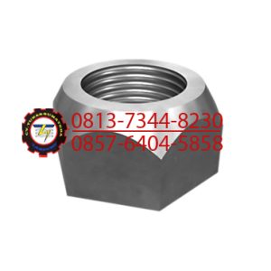 NUT, PN. 2K-4973