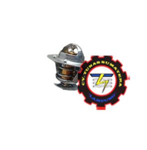THERMOSTAT, PN. 3917324