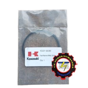 RING SEAL, PN. 45301-60280