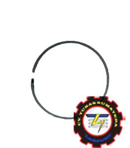 PLUNGER RING, PN. 734401078